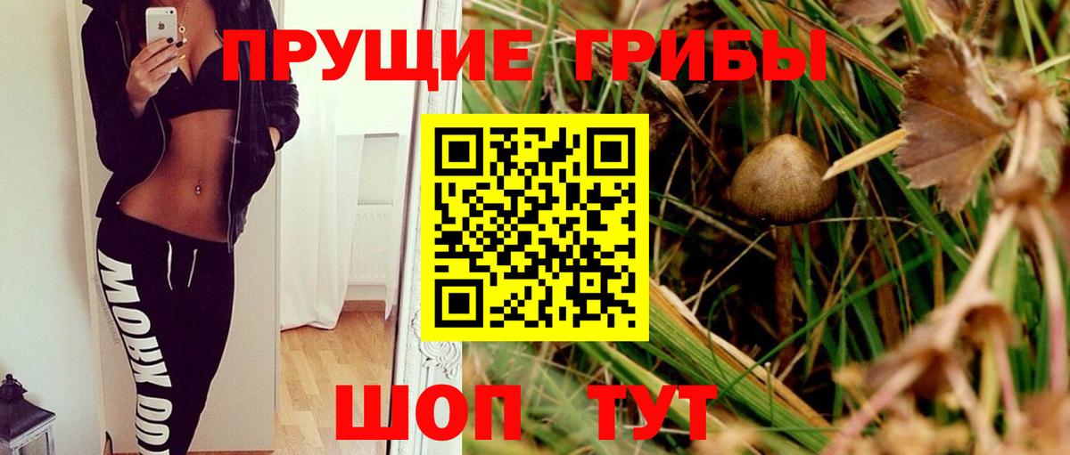 Псилоцибиновые грибы Psilocybine cubensis  Псилоцибиновые грибы GOLDEN TEACHER  Партизанск  Вход с VPN 